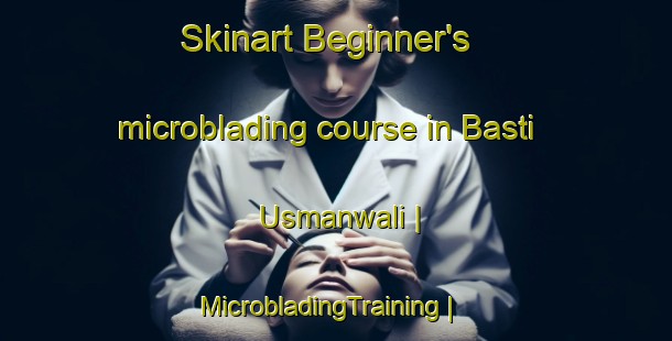 Skinart Beginner's microblading course in Basti Usmanwali | MicrobladingTraining | MicrobladingClasses | SkinartTraining-India